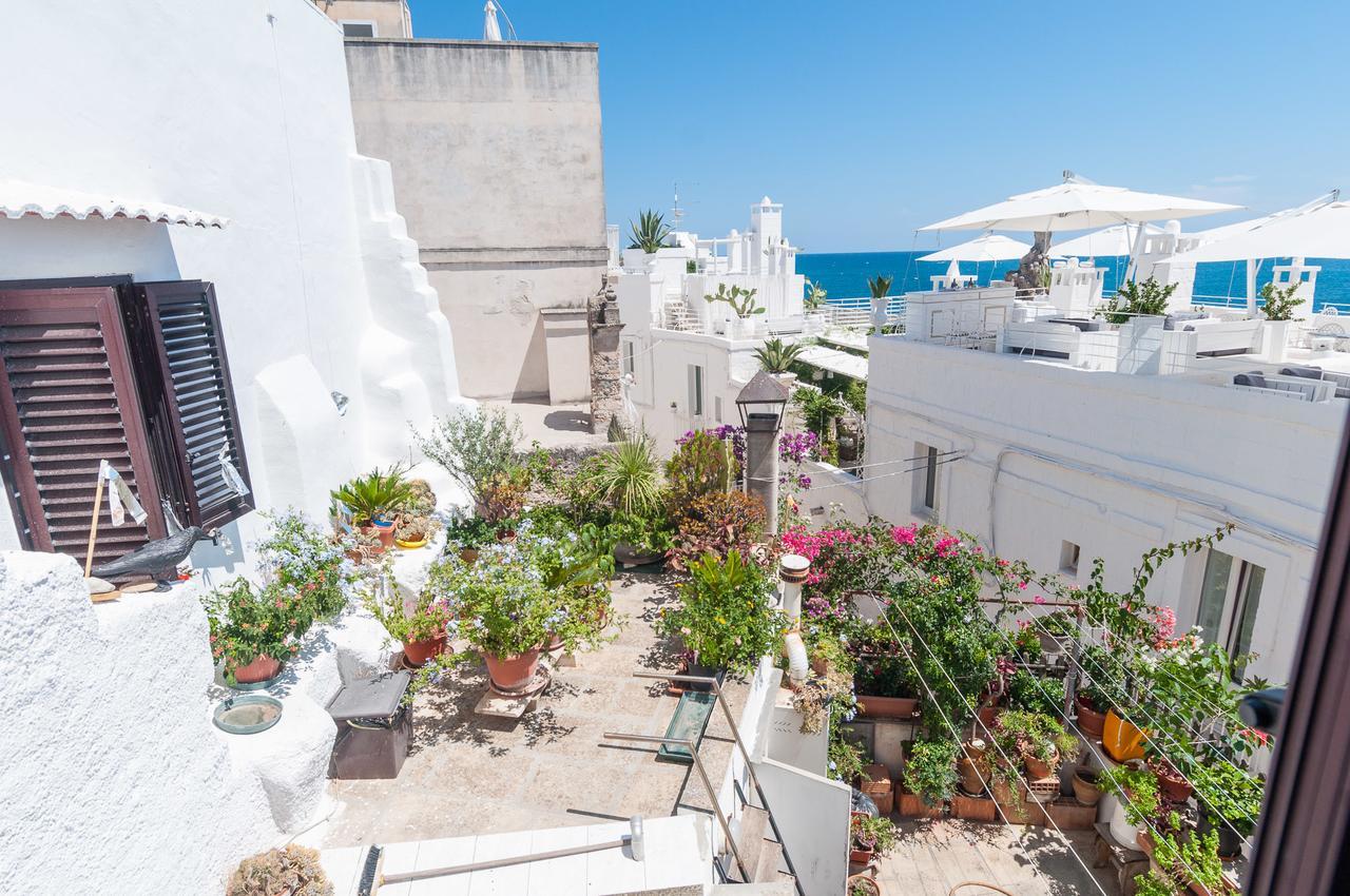 莫诺波利Helloapulia - Sea View Terrace Conchiglia公寓 外观 照片